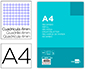 RECAMBIO LIDERPAPEL A4 100 HOJAS 75G/M2 CUADRO 4MM CON MARGEN 4 TALADROS
