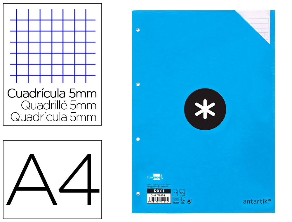 RECAMBIO LIDERPAPEL A4 100 HOJAS 100G/M2 CUADRO 5 MM 4 TALADROS BANDAS DE 5 COLORES ANTARTIK