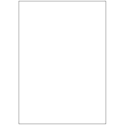 CAJA 100 HOJAS ETIQUETAS BLANCAS SIN MRGENES-LSER/INYECCIN DE TINTA/FOTOCOPIADORAS-210X297 MM MEGASTAR LP4MS-210297