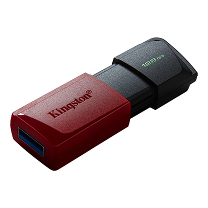 Kingston DataTraveler Exodia - Unidad flash USB - 128 GB - USB 3.2 Gen 1